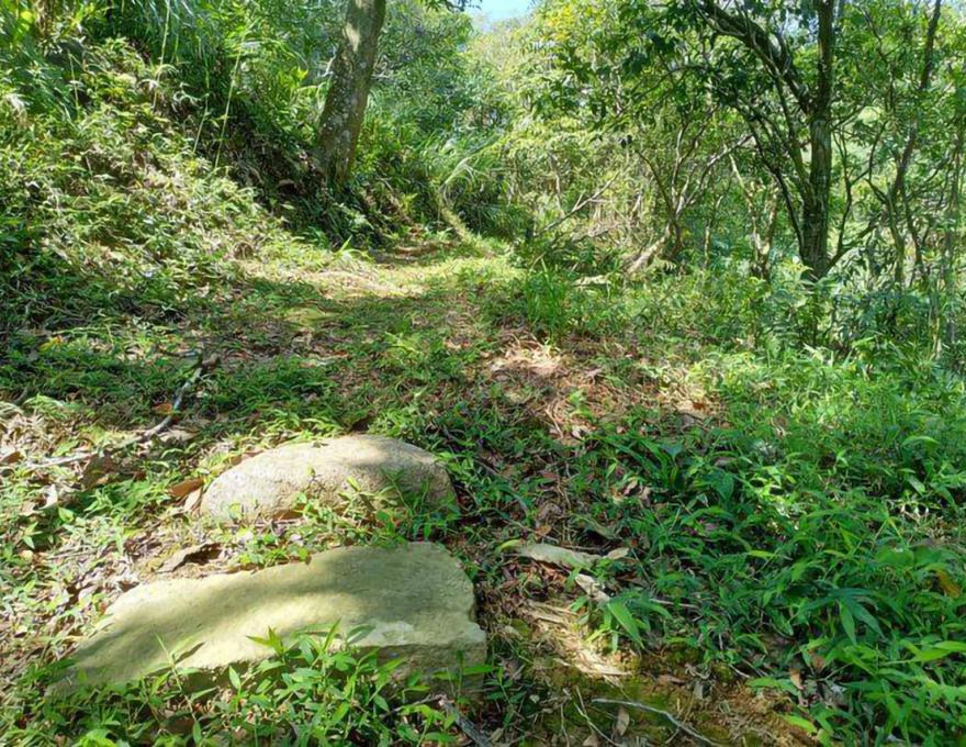 路過里山台灣小水田照片拍攝者：蕭學苑