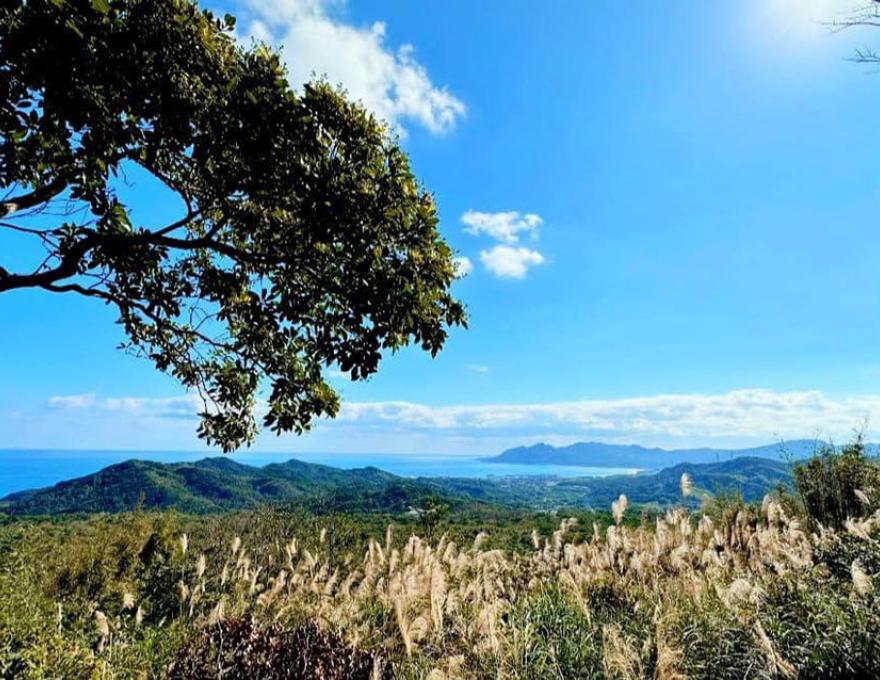 海拔205公尺居高臨下照片拍攝者：蕭學苑