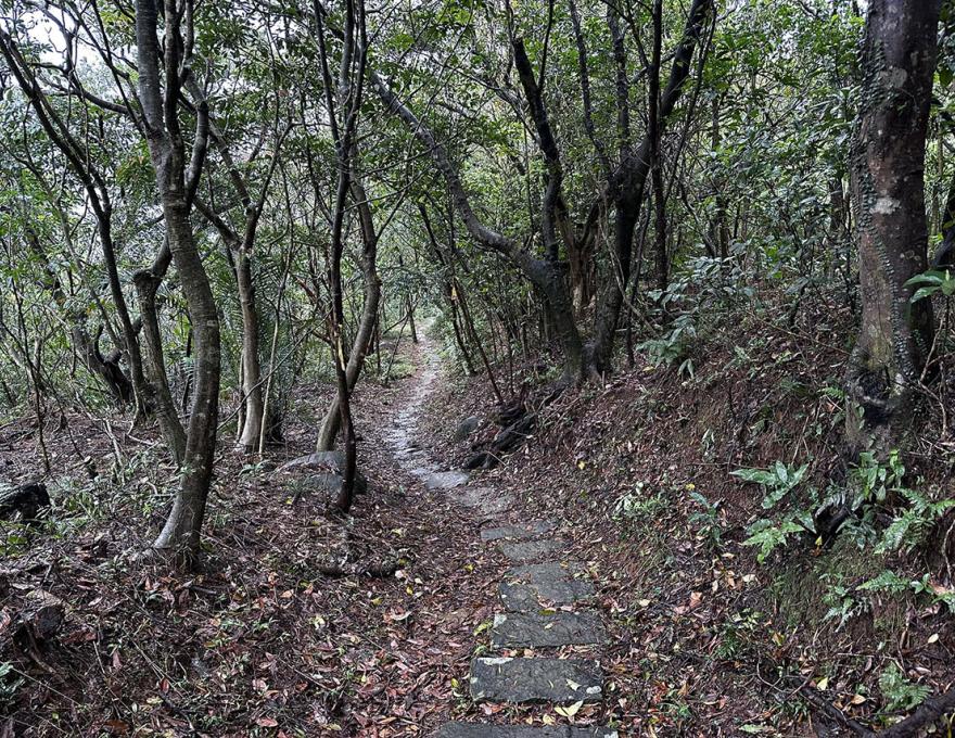 也是淡蘭北路山徑照片拍攝者：蕭學苑
