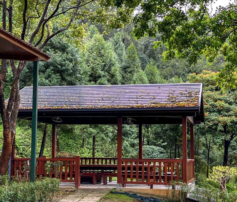 開放式木造禪修亭供學員靜心靜坐、觀照當下 照片提供者：宋宏璋 / 拍攝日期：2025/03/06