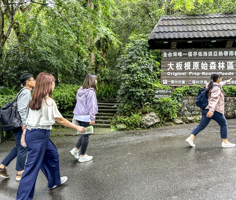 大板根原始森林區 照片提供者：何春緣 / 拍攝日期：2025/04/25