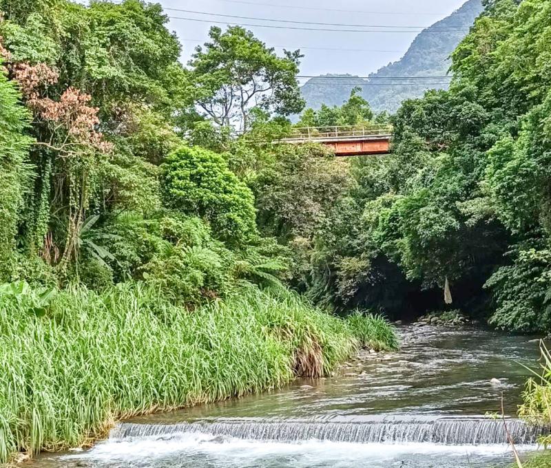 鹿母潭溪鐵橋上游。照片拍攝者：黃秋菊 / 拍攝日期：2022/09/15