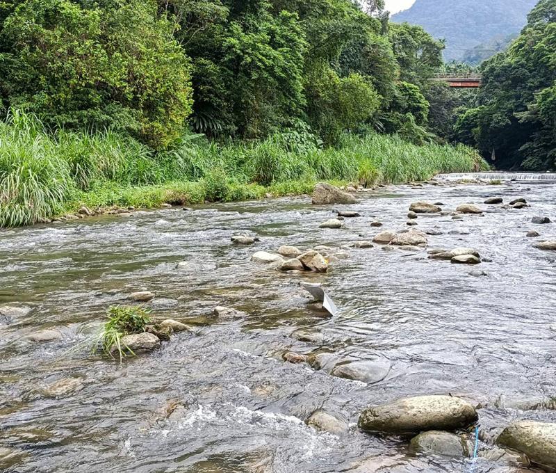 鹿母潭溪溪流河床。照片拍攝者：黃秋菊 / 拍攝日期：2022/09/15