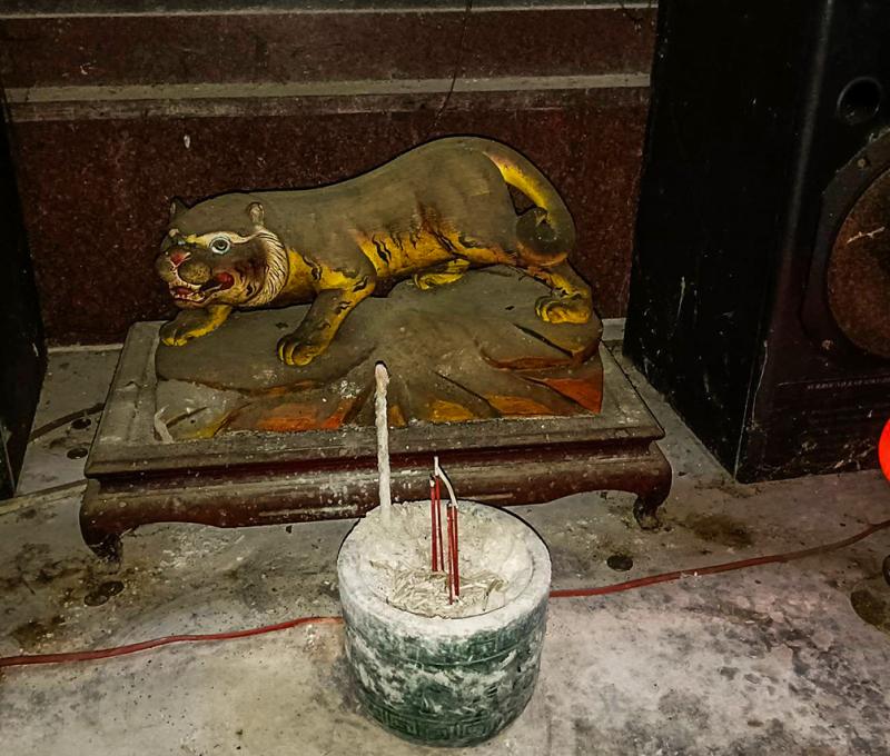 虎爺。照片拍攝者：黃秋菊 / 拍攝日期：2022/09/15