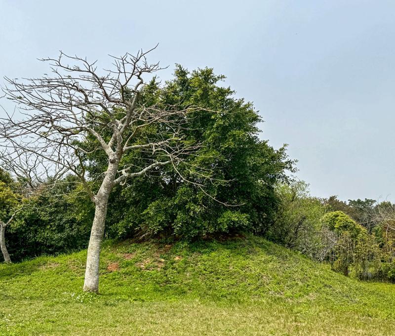 高地上的土丘通常是陣地所在 照片提供者：張銓津 / 拍攝日期：2023/08/26