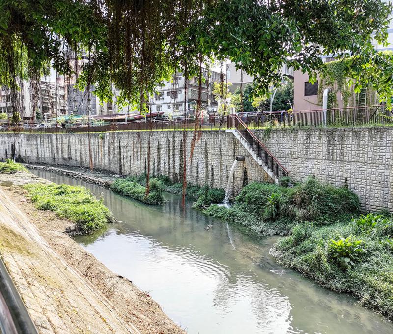 礫間淨化工程完工後的新公園