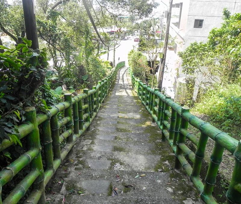 古道上植物生態豐富。照片拍攝者：方文樹 / 拍攝日期：2022/3/16