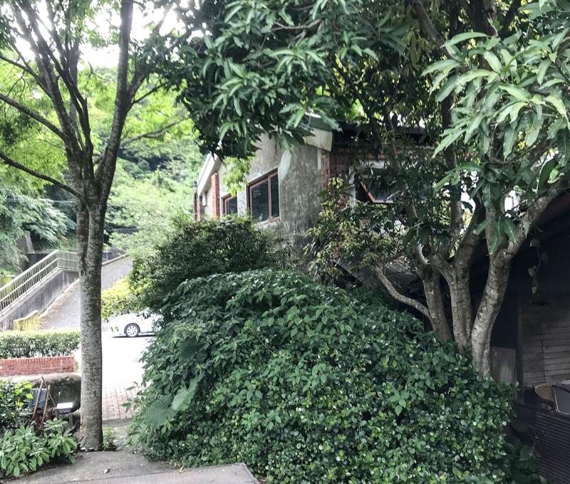 二坪秘境─茶屋後方。照片拍攝者：方文樹 / 拍攝日期：2022/04/13