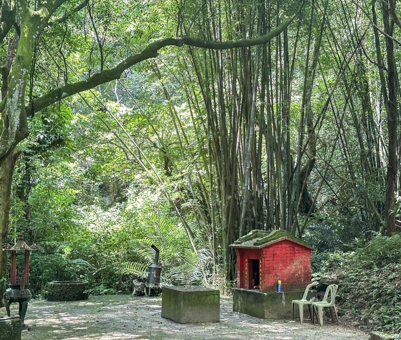 竹林間的土地公廟。照片提供者：林美惠 / 拍攝日期：2023/08/27