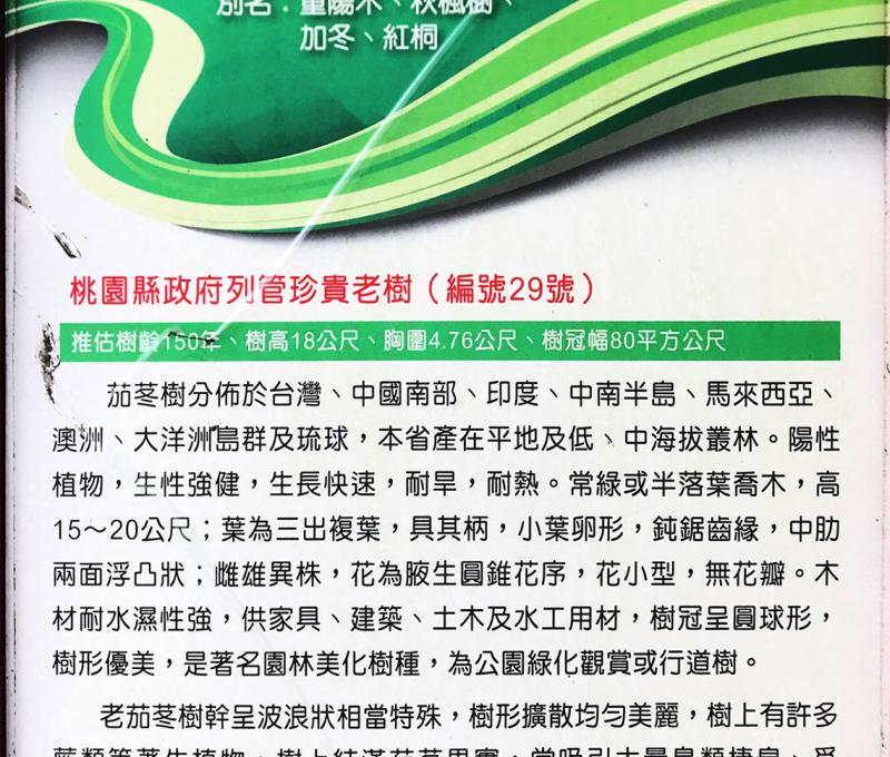 百年老樹介紹標示牌。照片拍攝者：方文樹 / 拍攝日期：2022/3/16