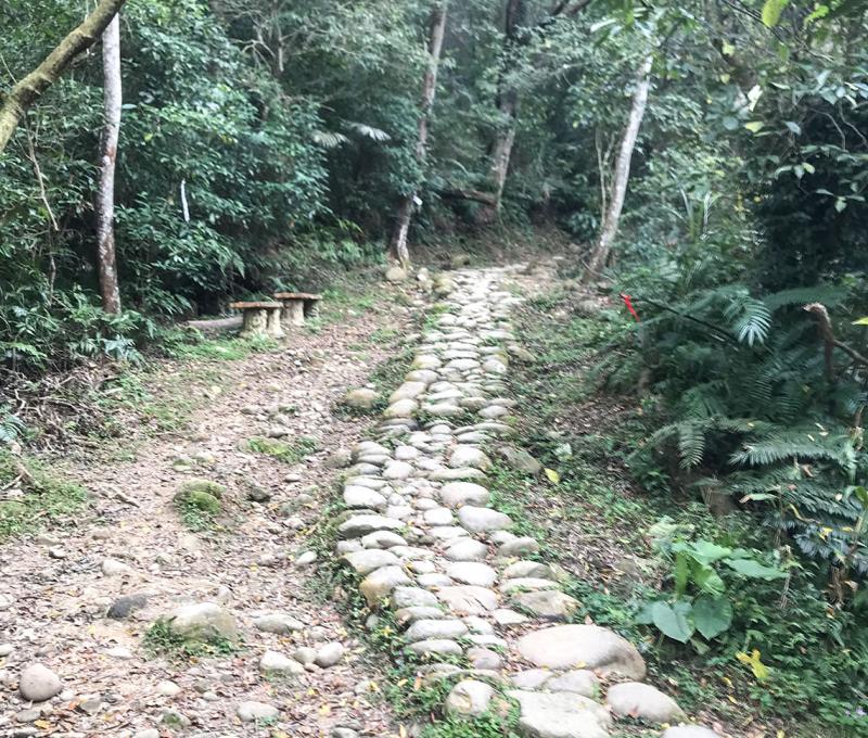 過濟安橋後古道上坡處。照片拍攝者：方文樹／拍攝日期：2022/3/16