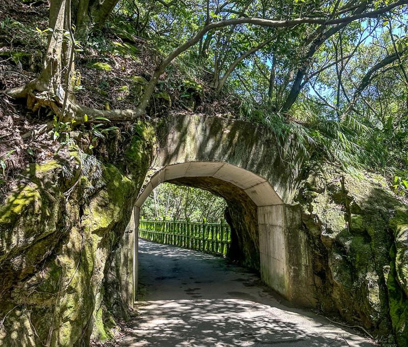 當年輕便車的小隧道─二坑隧道。照片提供者：林美惠 / 拍攝日期：2023/08/14