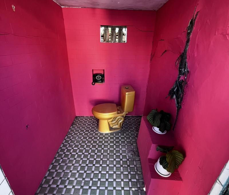 埕裡的富足米香-粉紅廁所與金馬桶（照片提供者：林雅婷 / 拍攝日期：2025.02.14）
