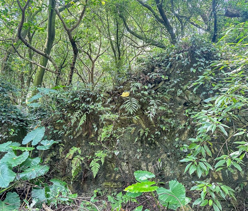 沿路的石屋遺跡，代表先前有人在此居住。照片提供者：林美惠 / 拍攝日期：2023/08/27