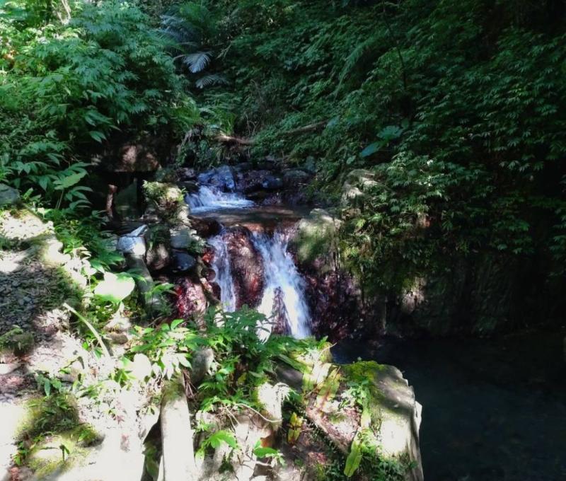 林美石磐步道美景（照片提供者：劉慶適、釋慧緣、蔡嘉朗 / 拍攝日期：2025.10.31）