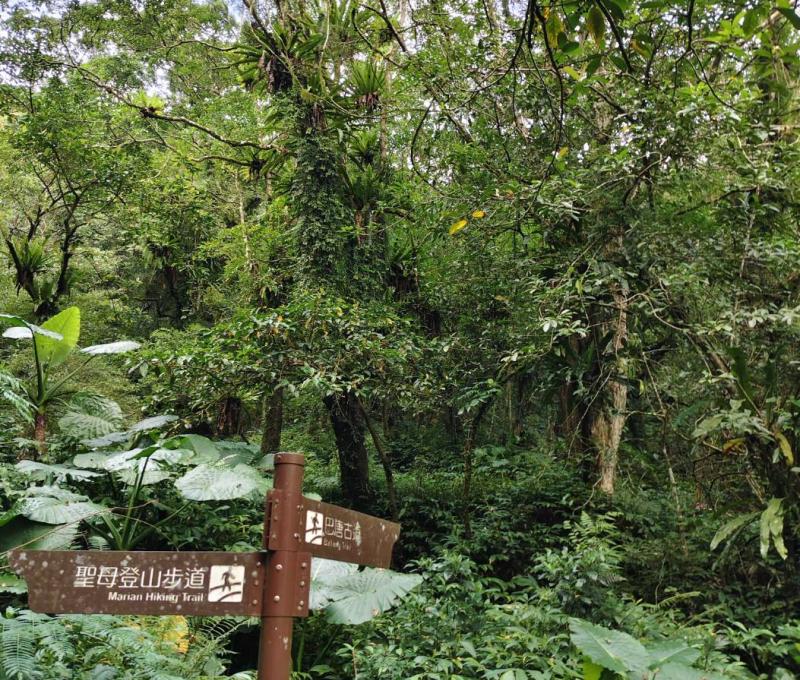 抹茶山聖母登山步道指示牌(照片提供者：吳友睿 / 拍攝日期：：2025.10.30)