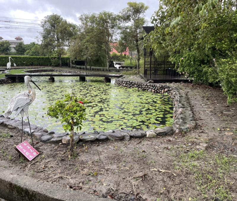 武暖石板橋旁水池(照片提供者：薛品均、陳明書、張云甄、黃曉惠 / 拍攝日期：2025.10.30)