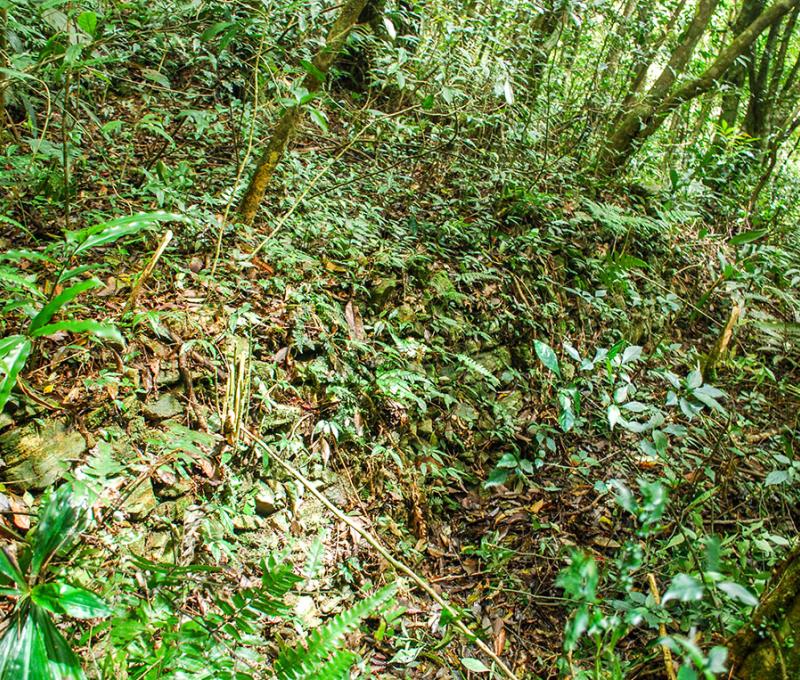浸水營駐在所後方的石砌駁坎圍牆 提供者：原住民族委員會原住民族文化發展中心／拍攝日期：109.11.27