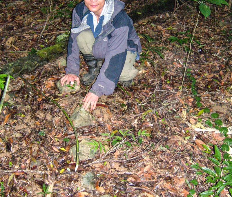 調查人員手指出水坡稜線上的清代古道路肩立石 照片提供者：原住民族委員會原住民族文化發展中心／拍攝日期：109.11.27
