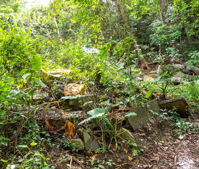 戰後修建的造林苗圃工作站，現已拆除 照片提供者：原住民族委員會原住民族文化發展中心／拍攝日期：109.11.27