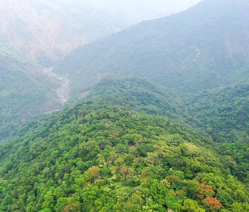 高空拍攝力里舊社的所在地 照片提供者：原住民族委員會原住民族文化發展中心／拍攝日期：109.11.27
