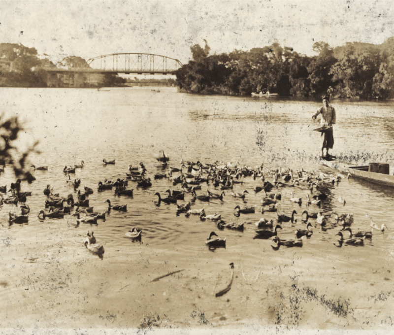 1930年代基隆河畔的養鴨人家。／資料來源：《臺灣寫真大觀》（1938），國立臺灣圖書館典藏。《島都之河》，頁107。