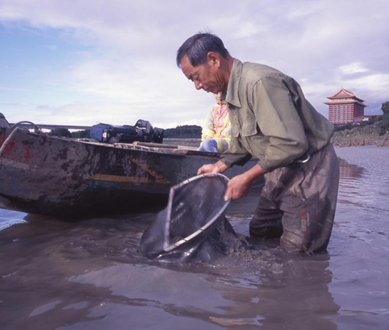 三腳渡漁夫於基隆河捉紅線蟲。／資料來源：柯金源，〈士林三腳渡張輝捉紅蟲〉（2000年11 月），發布於《數位島嶼》，中央研究院數位文化中心。《島都之河》，頁110。