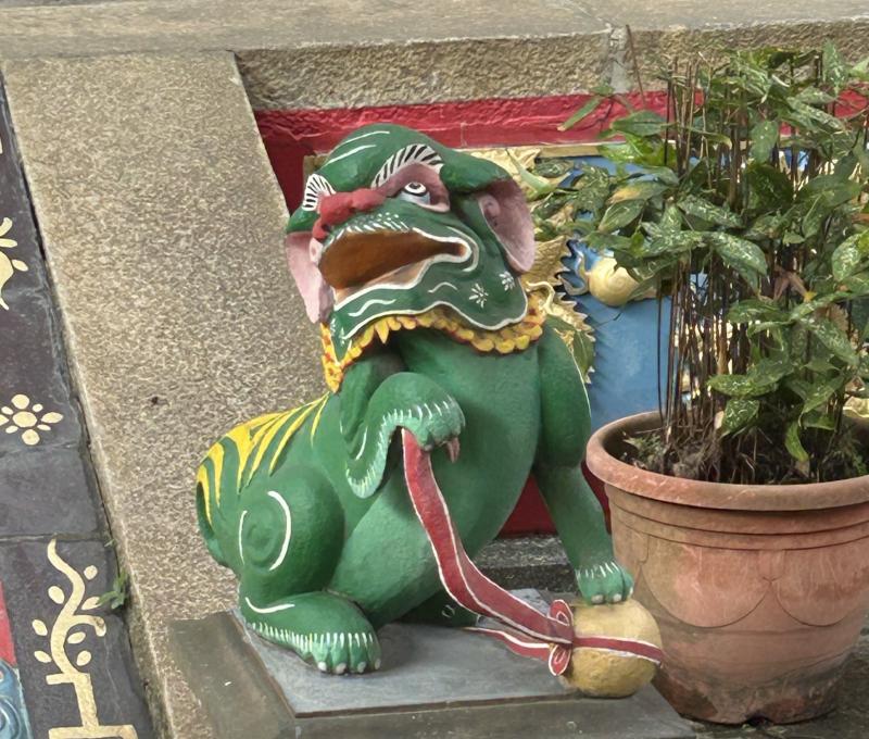 可愛綠色奶油獅（照片提供者：魏可欣/ 拍攝日期：2025/11/08）