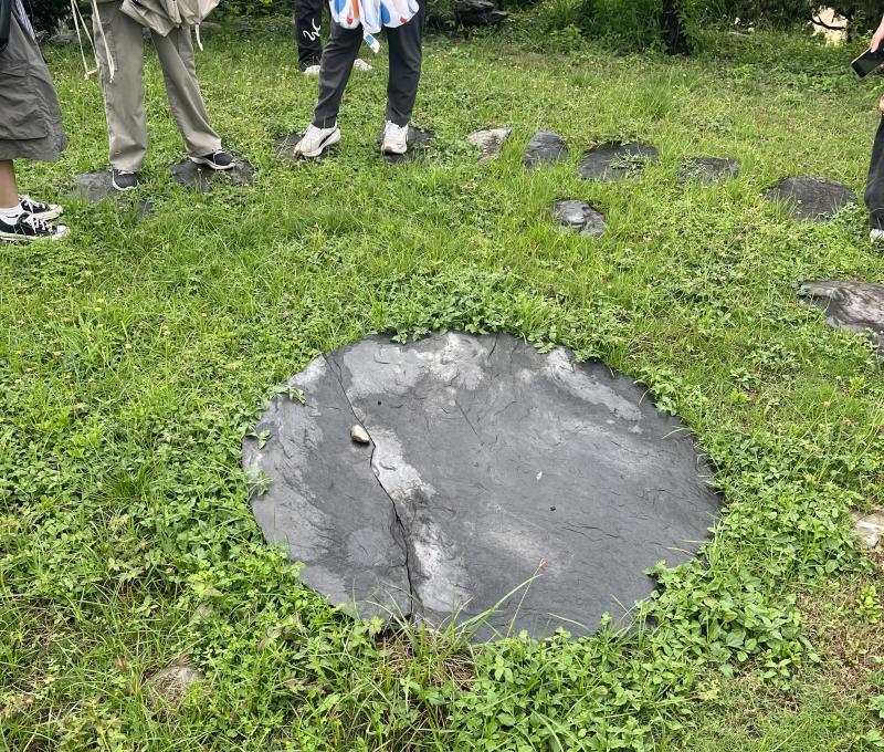 遺址呈台型土墩狀（照片提供者：張庭瑜/ 拍攝日期：2026/04/25）