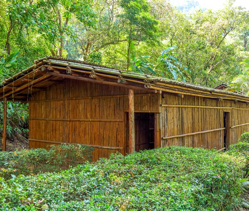 大隘社住家 Traditional Saisiyat House in Da’ai Village 照片拍攝者：原住民族委員會原住民族文化發展中心 / 拍攝日期：2022