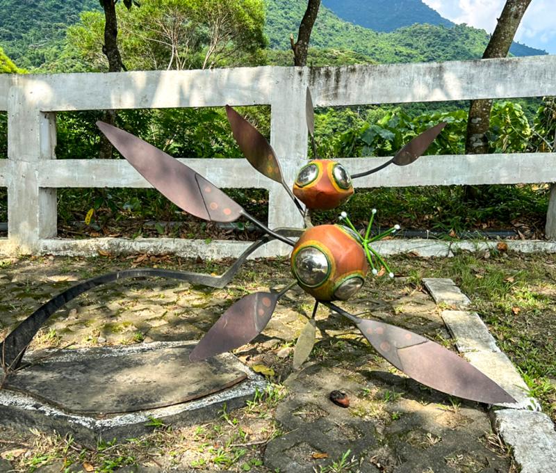 心花朵朵開 Heart Blossoms 照片拍攝者：原住民族委員會原住民族文化發展中心 / 拍攝日期：2022