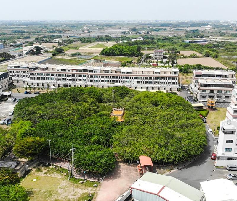 十二佃神榕 照片提供者：毛毓翔 / 拍攝日期：2022/04/18