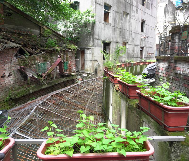大坪林圳道(新店後街與國校路交叉口巷內)／照片提供者：毛毓翔 / 拍攝日期：2025/05/27
