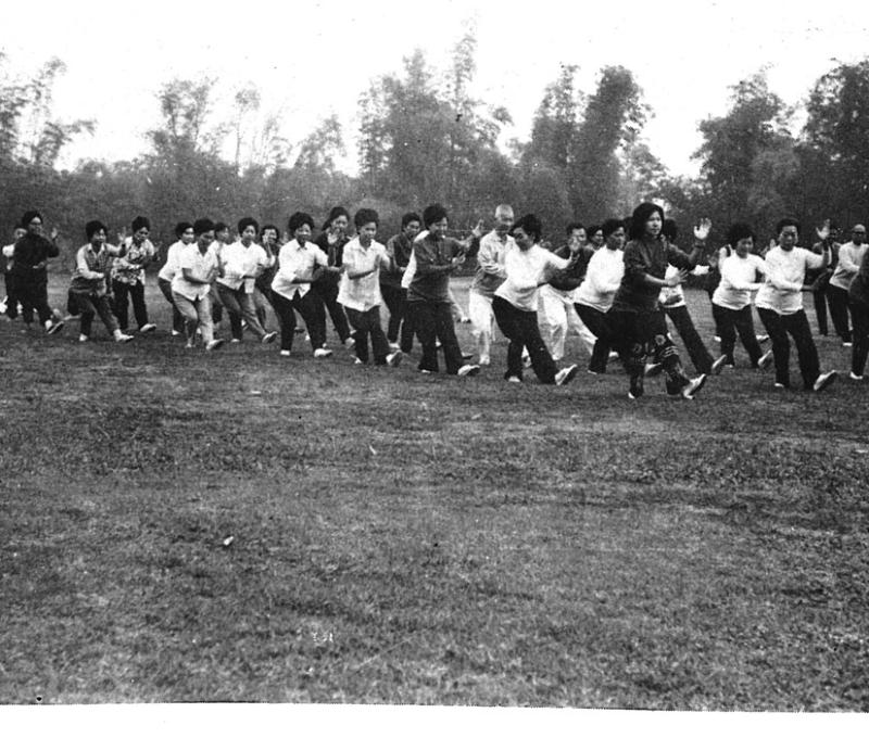 高芳先免費推廣國術運動長達20年，習武弟子遍及海內外。(翻攝：高芳先先生紀念集)