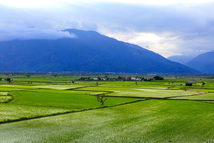 無敵稻景(萬安社區)