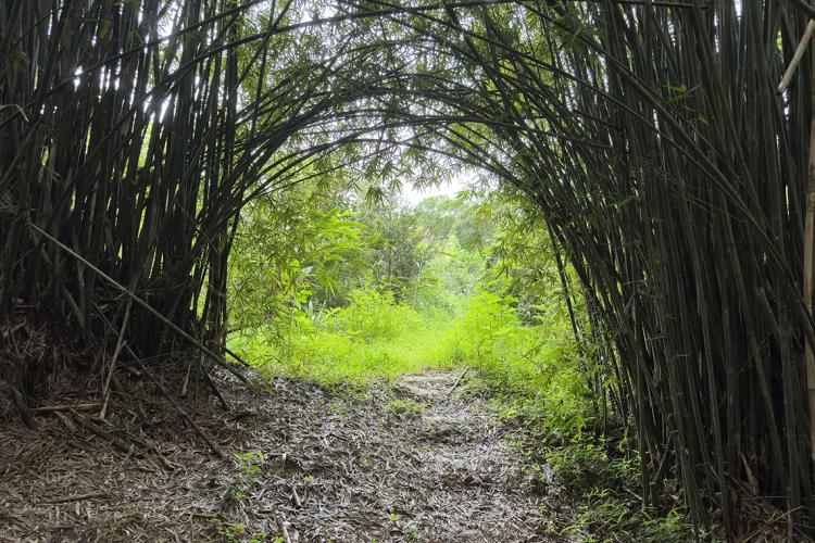 市東路日式街屋