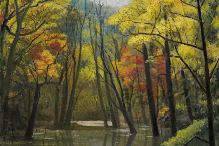 24《楓樹林》（日本青森縣十河田市，奧入瀨溪流往十河田湖方向的步道）