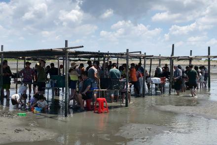 06採蚵車抓蛤吃烤蚵