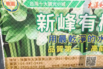 04新峰有機芽菜農場