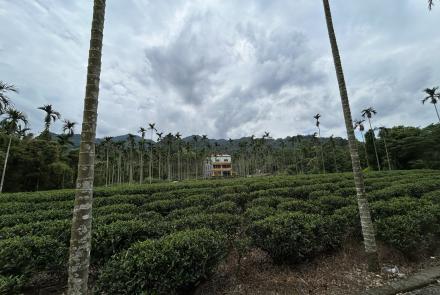 09火燒翁家大厝坑