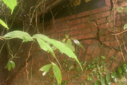 17烏塗窟的烏金歲月與焦碳窯