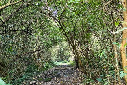 13牧童古道與摸乳巷