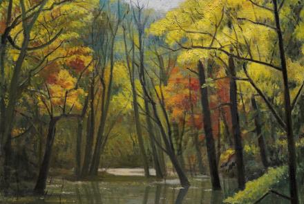 24《楓樹林》（日本青森縣十河田市，奧入瀨溪流往十河田湖方向的步道）