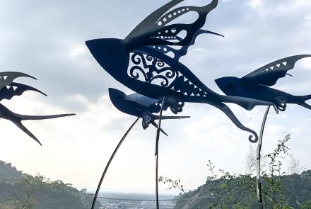 26飛躍族群 The Flying Ethnic Group