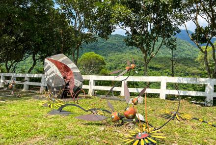 31心花朵朵開 Heart Blossoms